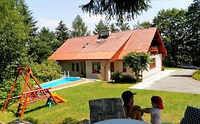 Penzion Bor